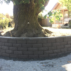 Retaining wall wrap around large tree